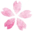 桜の花のイラスト